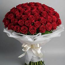 Букет 101 Красная роза Блэк Мэджик #REPLACE_PRED# Кокреке