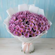 Букет цветов из:  Хризантемы в Кокреке