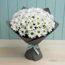 Букет цветов из:  Хризантемы #REPLACE_PRED# Кокреке