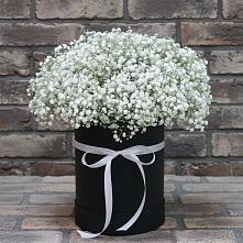 Цветочная композиция из Гипсофила в шляпной коробке в Кокреке