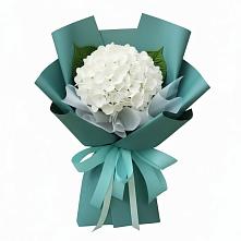 Букет цветов из:  Гортензия в Кокреке